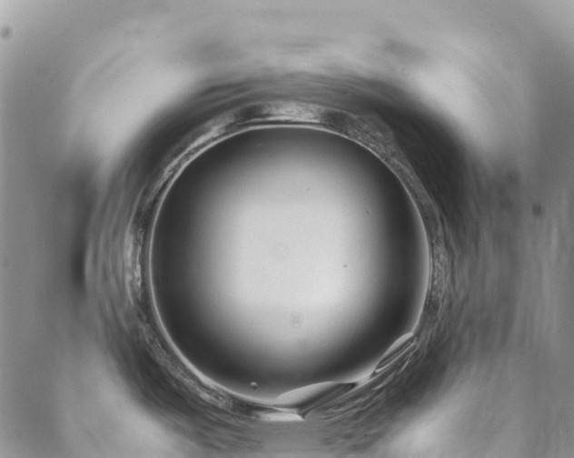 X0000088721487200705311410