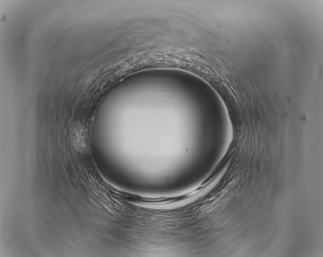 X0000088721490200705311409