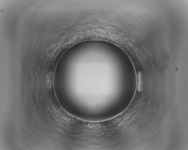 X0000088721491200705311409