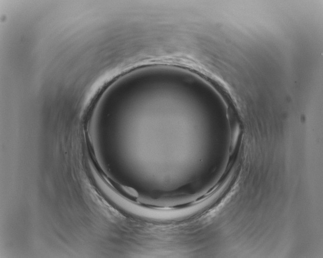 X0000088721506200705311409