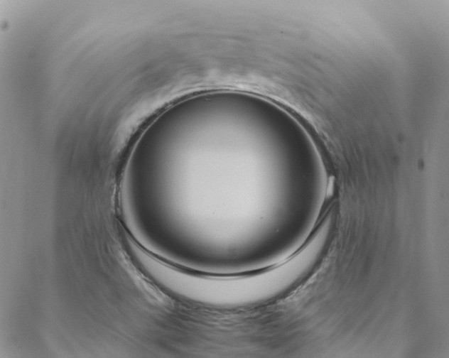 X0000088721507200705311410