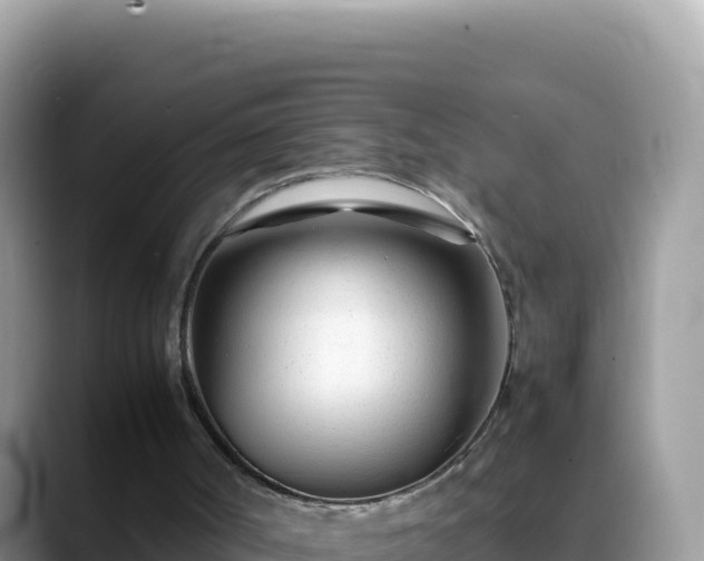 X0000088720002200706071629