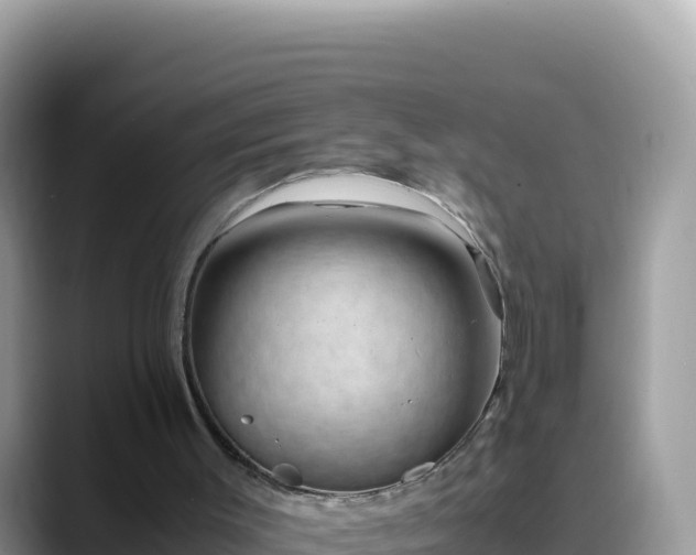 X0000088720003200706071629