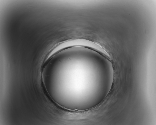 X0000088720005200706071629