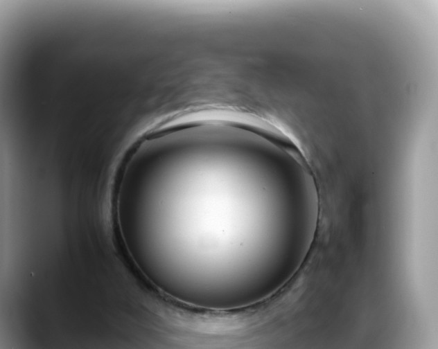X0000088720008200706071629