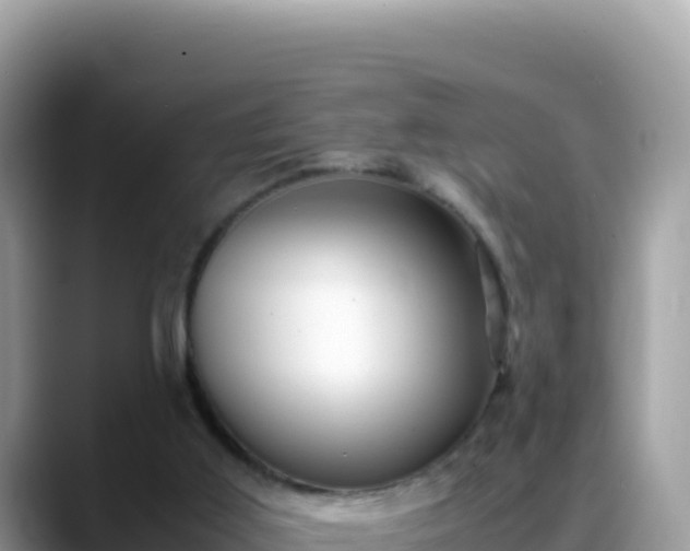 X0000088720011200706071629