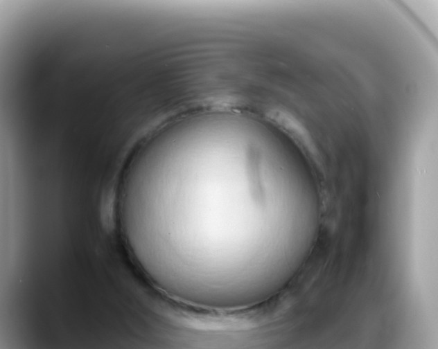 X0000088720012200706071629