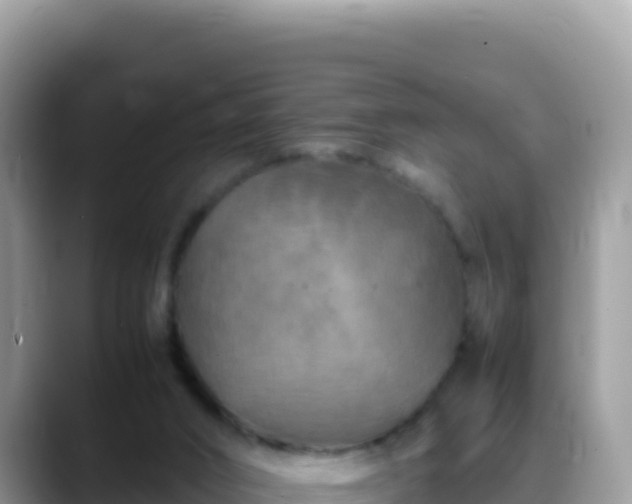 X0000088720016200706071629