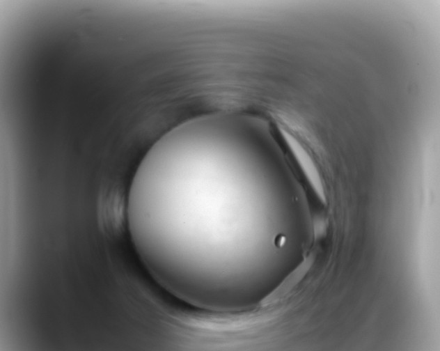 X0000088720021200706071629
