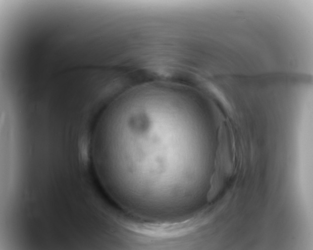 X0000088720023200706071629