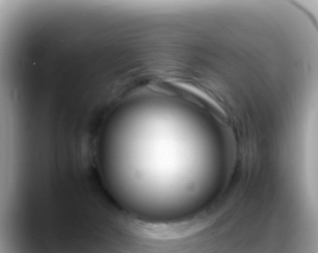 X0000088720030200706071629