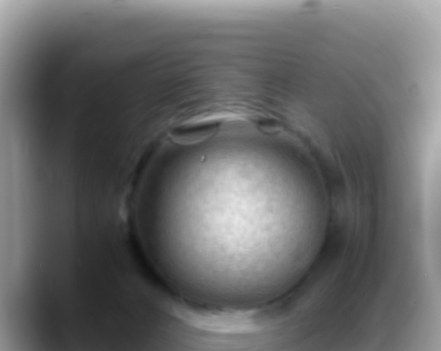 X0000088720032200706071629
