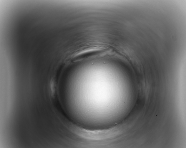 X0000088720038200706071628