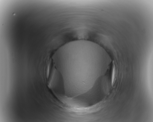 X0000088720039200706071628
