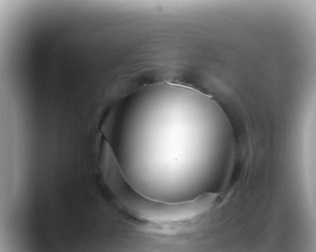 X0000088720041200706071628
