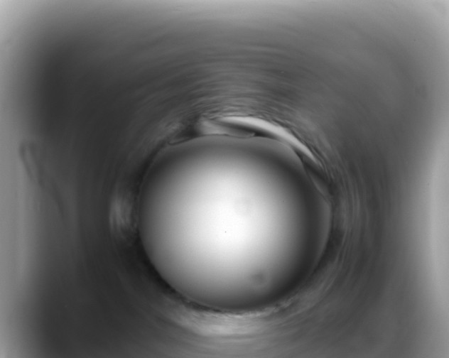 X0000088720044200706071628