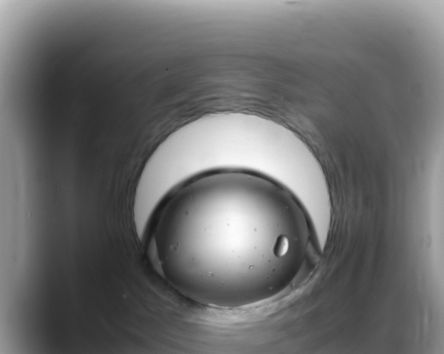 X0000088720045200706071628