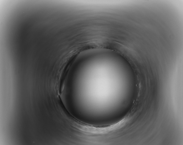 X0000088720048200706071628