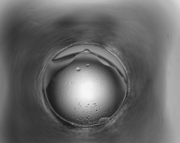 X0000088720049200706071628
