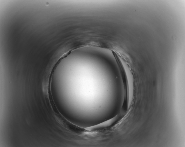 X0000088720051200706071628