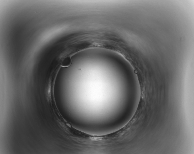 X0000088720052200706071628