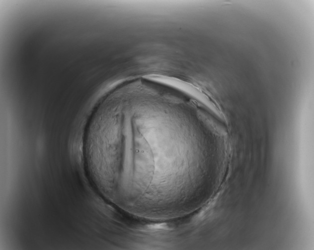 X0000088720054200706071628