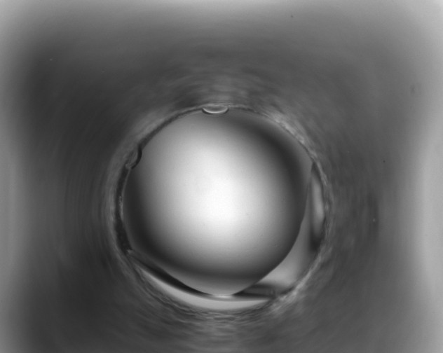 X0000088720055200706071628