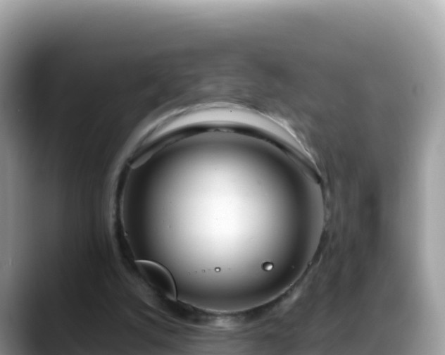 X0000088720056200706071628