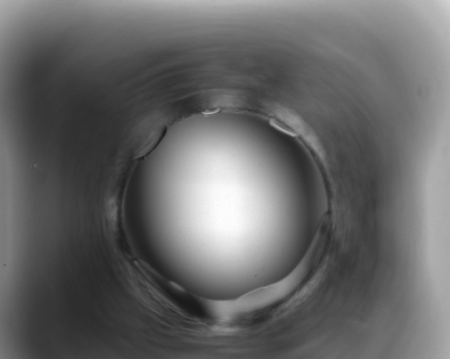 X0000088720057200706071628