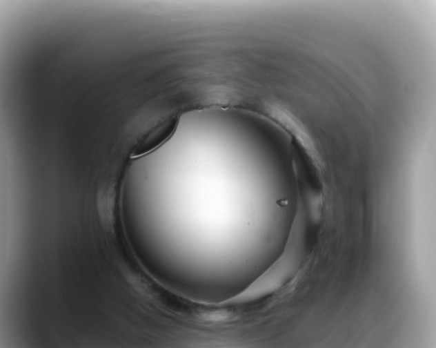 X0000088720058200706071628