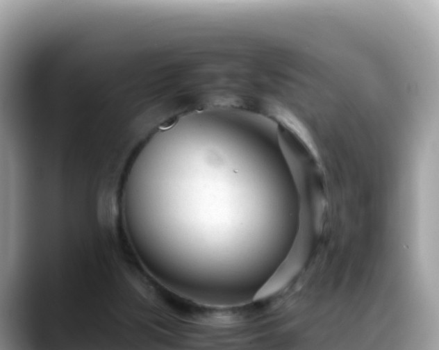 X0000088720059200706071628