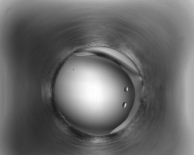 X0000088720060200706071628