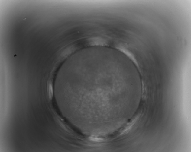 X0000088720061200706071628