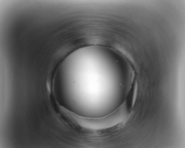 X0000088720062200706071628