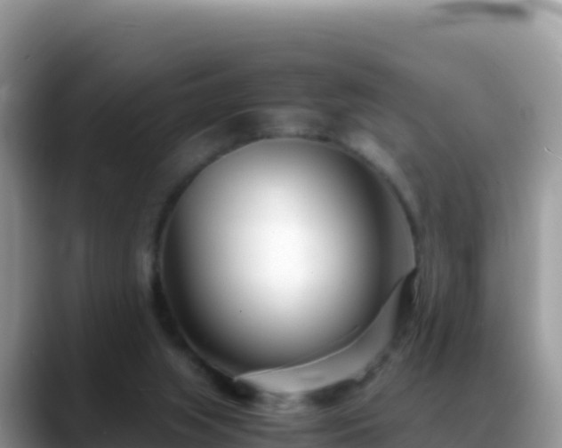 X0000088720063200706071628