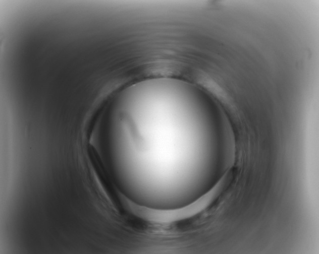 X0000088720064200706071628