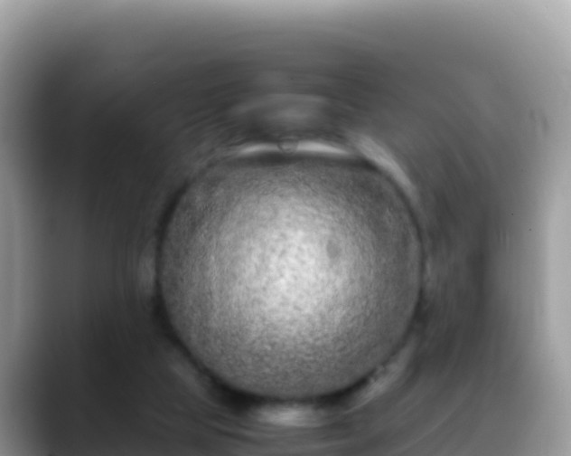 X0000088720065200706071628