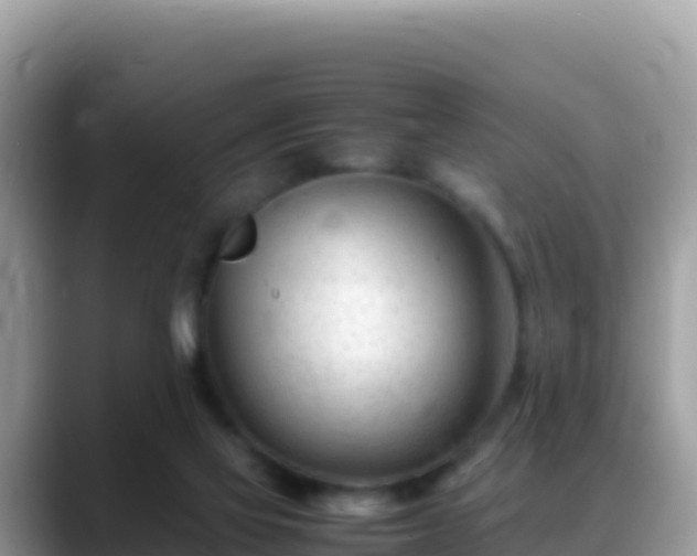X0000088720069200706071628