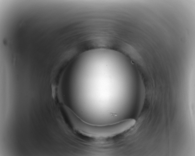 X0000088720070200706071628