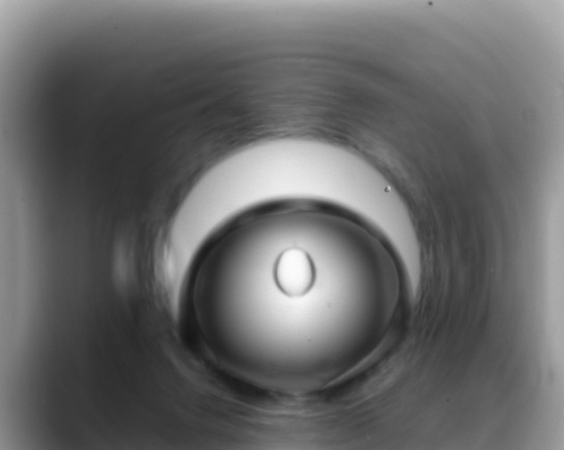 X0000088720072200706071628