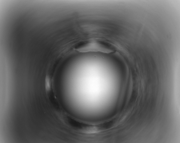 X0000088720075200706071628