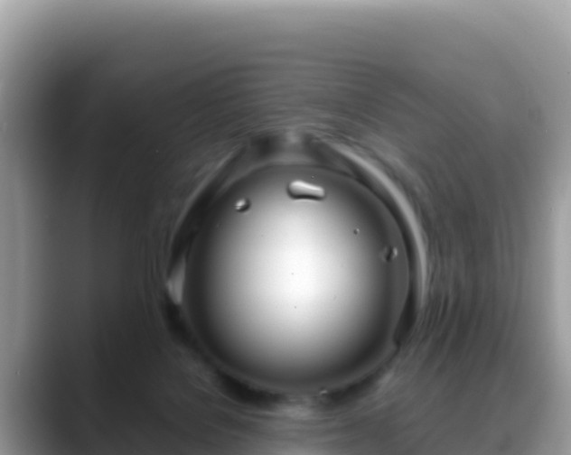 X0000088720076200706071628