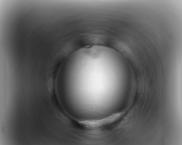 X0000088720077200706071628