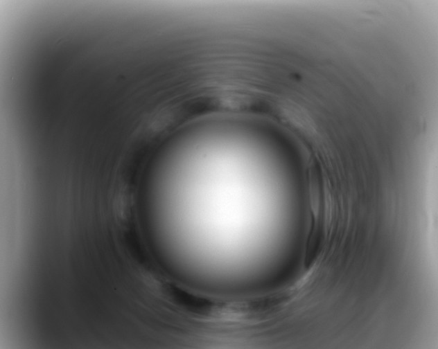 X0000088720078200706071628