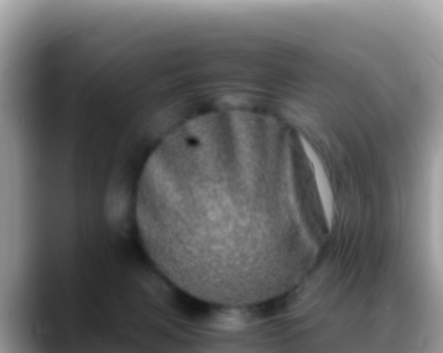 X0000088720079200706071628