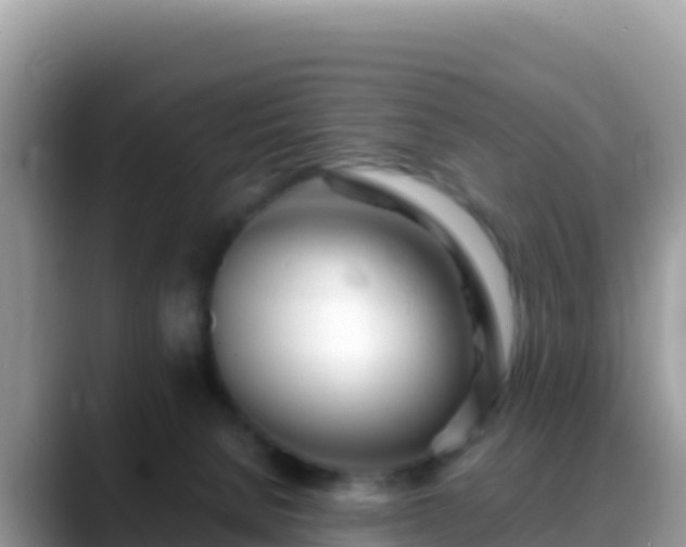 X0000088720080200706071628