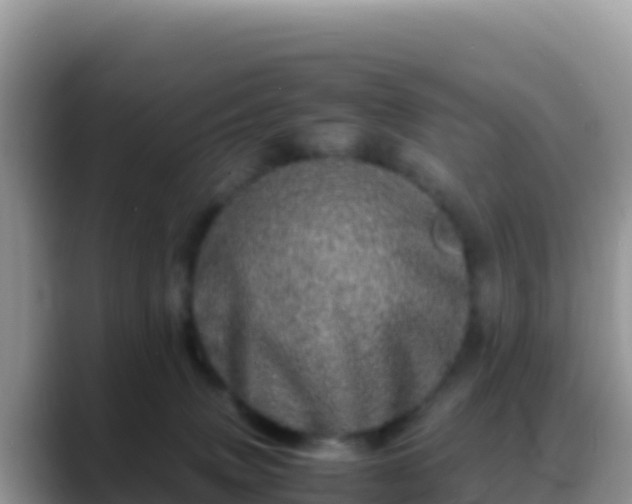 X0000088720083200706071628
