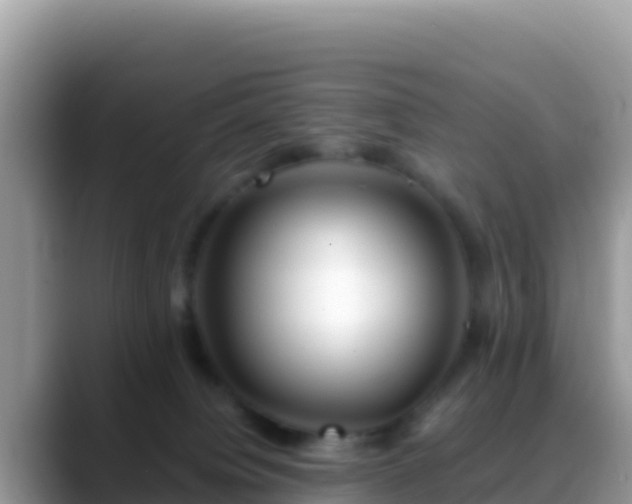 X0000088720084200706071628