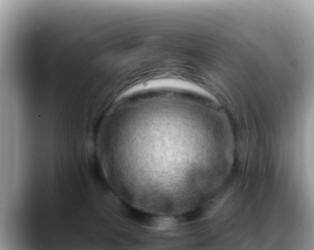 X0000088720085200706071628
