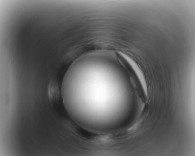 X0000088720086200706071628